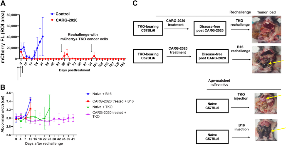 Carg treatment